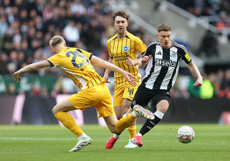 Kèo Hôm Nay NHA - Brighton Vs Newcastle, 4/5/2025 Phong độ của Brighton vs Newcastle - đối lập rõ ràng